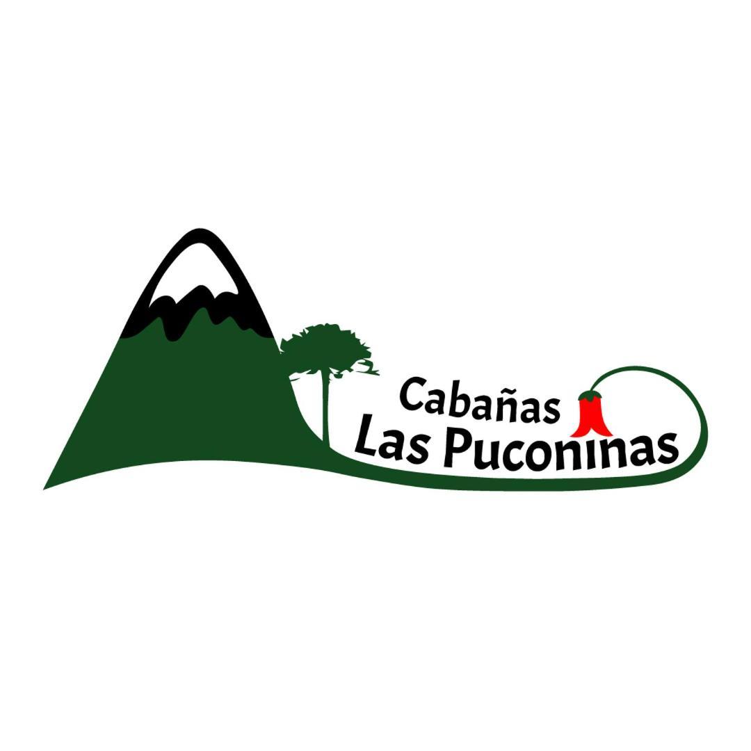 Cabanas Las Puconinas Pucón Exterior foto
